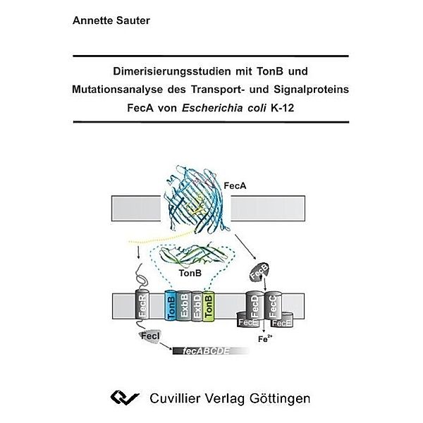Sauter, A: Dimerisierungsstudien mit TonB und Mutationsanaly, Annette Sauter