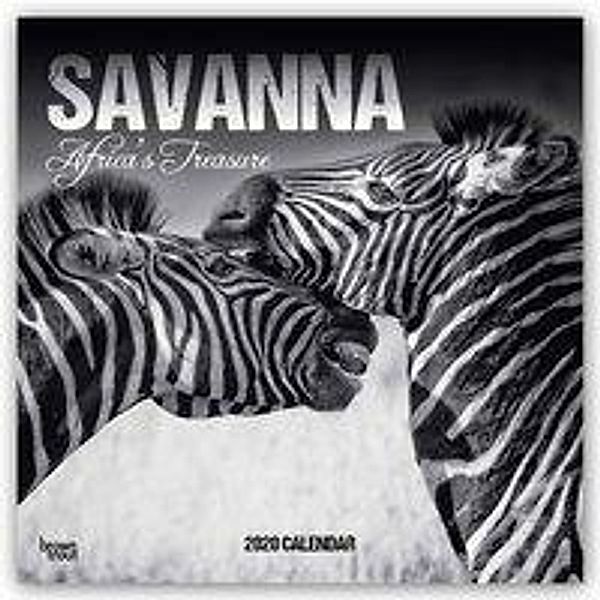 Savanna: Africa's Treasure 2020 - 16-Monatskalender