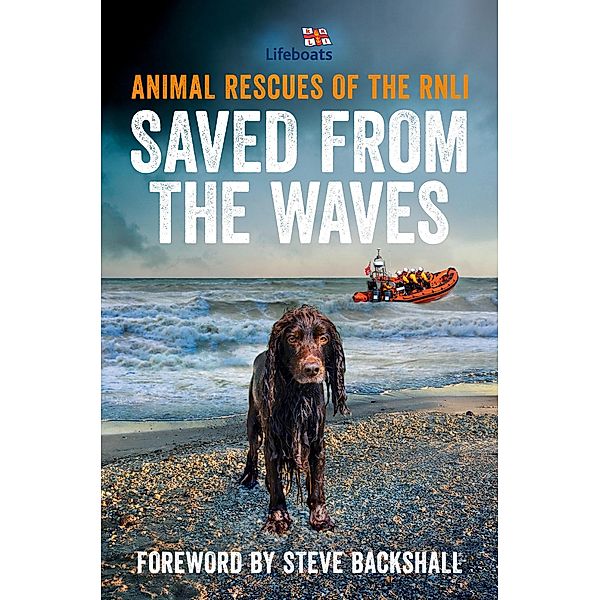 Saved from the Waves, The Rnli