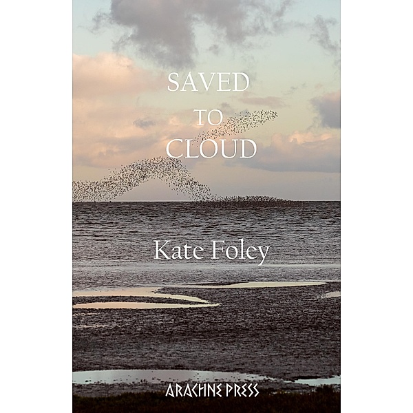 Saved to Cloud, Kate Foley