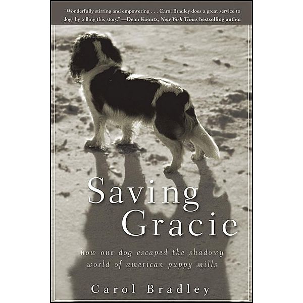Saving Gracie, Carol Bradley