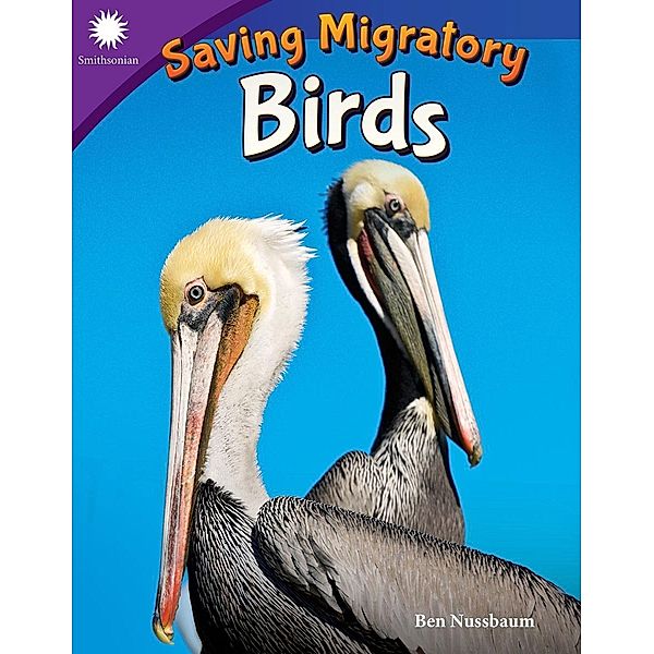 Saving Migratory Birds, Ben Nussbaum