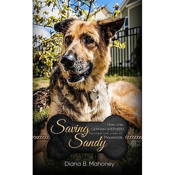 Saving Sandy, Diana B. Mahoney