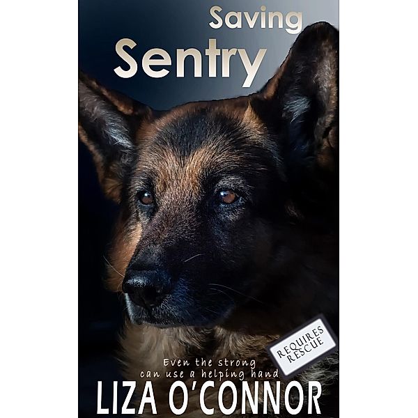Saving Sentry (Requires Rescue, #3) / Requires Rescue, Liza O'Connor