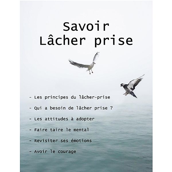 Savoir La^cher Prise, Rodney Lajoie