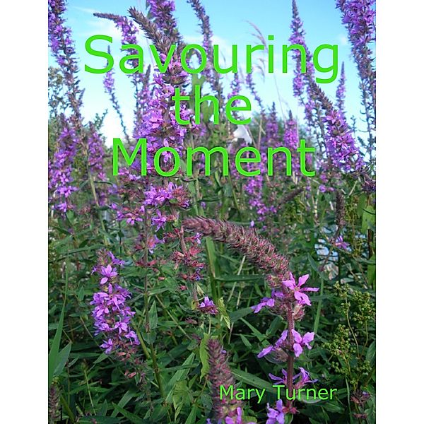 Savouring the Moment, Mary Turner