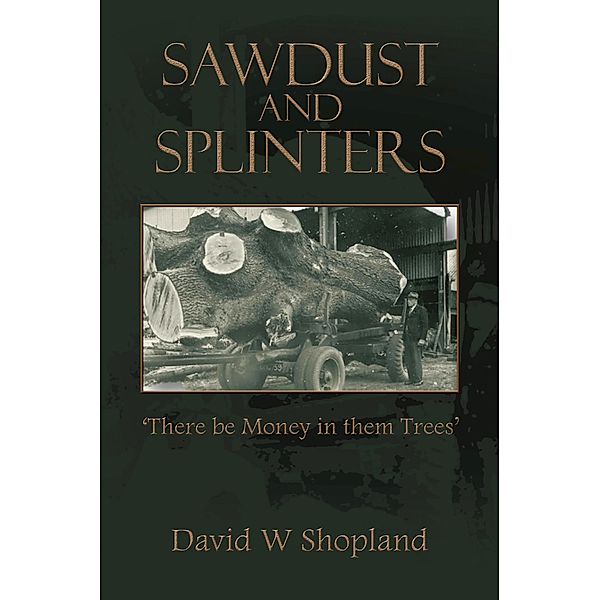 Sawdust  and  Splinters, David W Shopland
