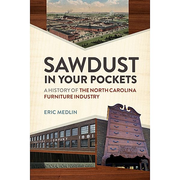 Sawdust in Your Pockets, Eric Medlin