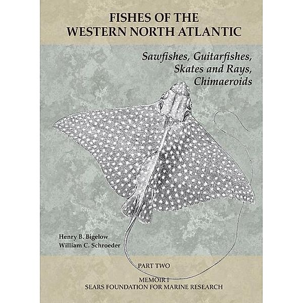 Sawfishes, Guitarfishes, Skates and Rays, Chimaeroids, Henry B. Bigelow, William C. Schroeder