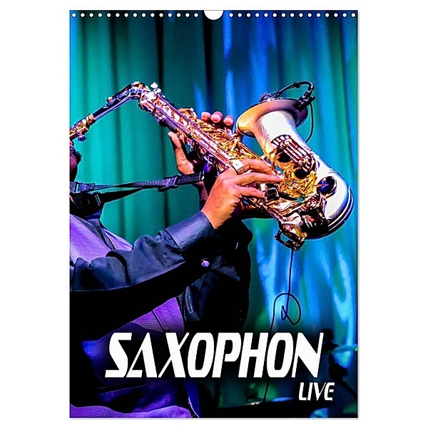 Saxophon live (Wandkalender 2024 DIN A3 hoch), CALVENDO Monatskalender, Renate Bleicher