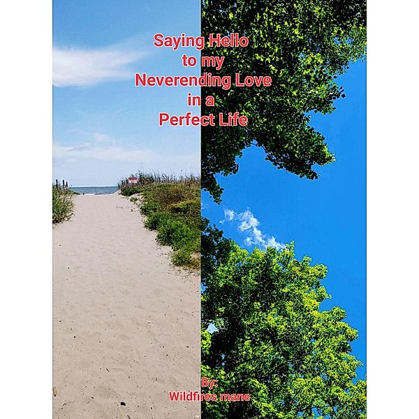 Saying Hello to my Neverending Love in a Perfect Life (The Perfect Love in my not so Perfect Life, #3) / The Perfect Love in my not so Perfect Life, Wildfires Mane