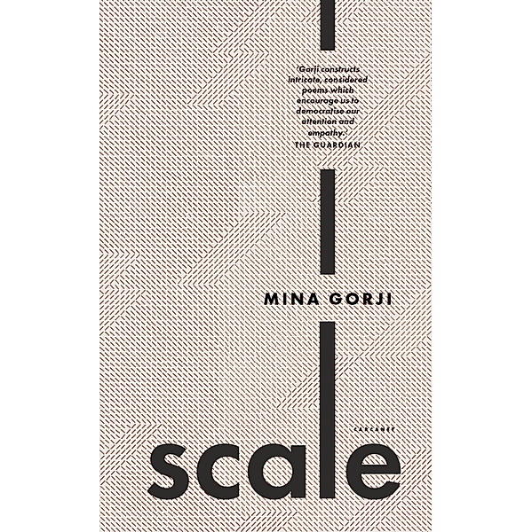 Scale, Mina Gorji