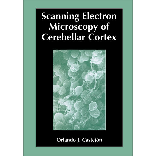 Scanning Electron Microscopy of Cerebellar Cortex, Orlando Castejón
