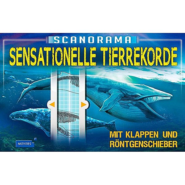 Scanorama - Sensationelle Tierrekorde, Anna Claybourne