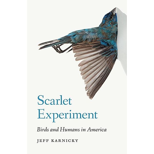 Scarlet Experiment, Jeff Karnicky