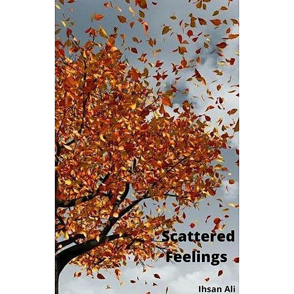 Scattered Feelings, Ihsan Ali