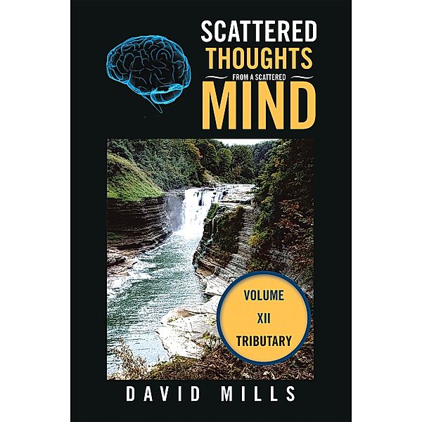 Scattered Thoughts  From a Scattered Mind, David Mills