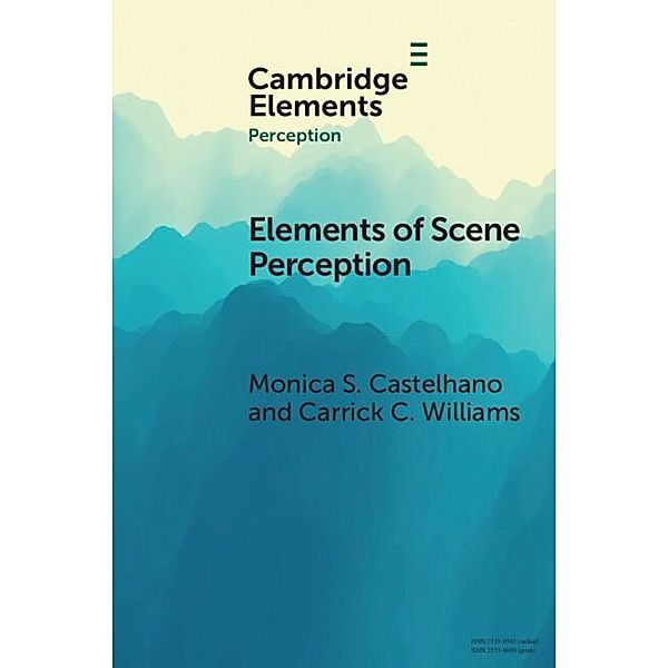 Scene Perception / Elements in Perception, Monica S. Castelhano