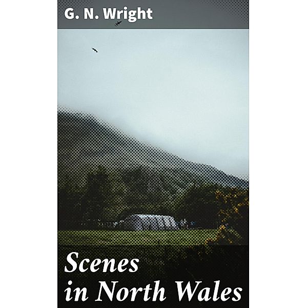 Scenes in North Wales, G. N. Wright