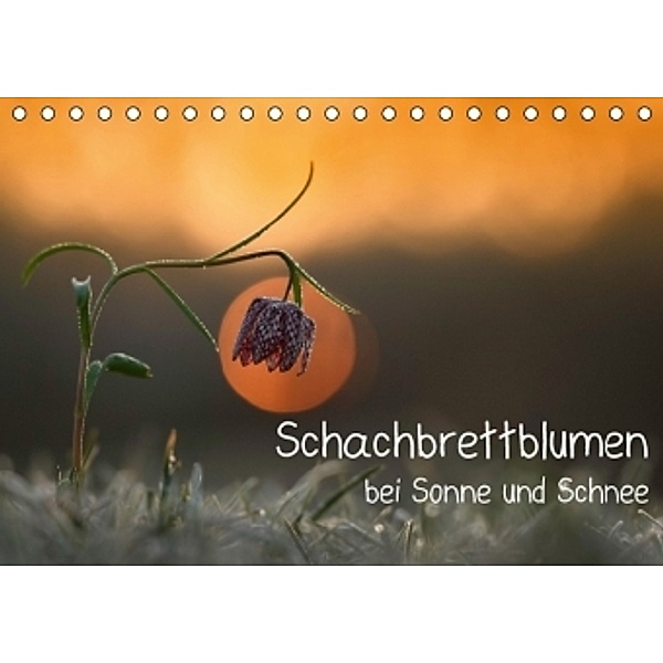 Schachbrettblumen bei Sonne und Schnee (Tischkalender 2016 DIN A5 quer), Gabi Marklein