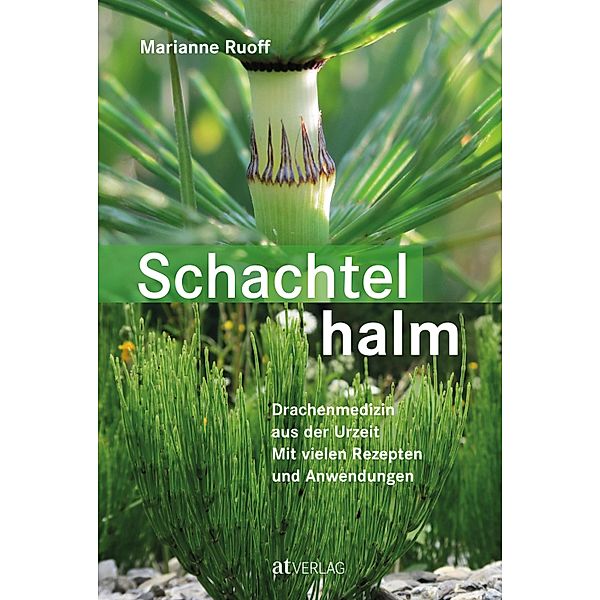 Schachtelhalm - eBook, Marianne Ruoff