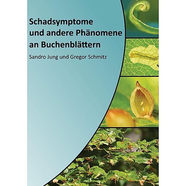 Schadsymptome und andere Phänomene an Buchenblättern, Sandro Jung, Gregor Schmitz