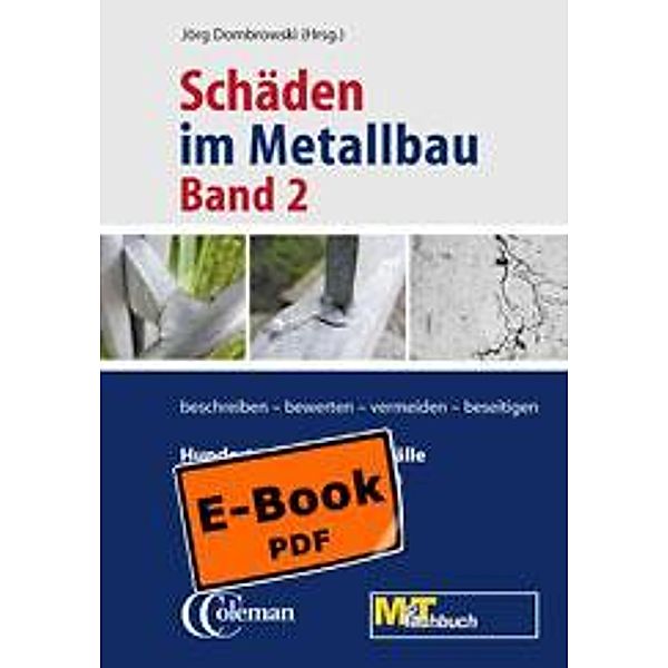 Schäden im Metallbau - Band 2 Hundert neue typische Fälle (E-Book)