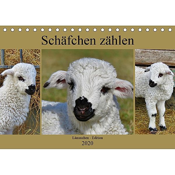 Schäfchen zählen - Lämmchen-Edition (Tischkalender 2020 DIN A5 quer), Sabine Löwer