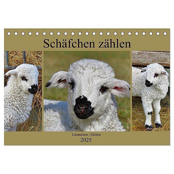 Schäfchen zählen - Lämmchen-Edition (Tischkalender 2025 DIN A5 quer), CALVENDO Monatskalender, Calvendo, Sabine Löwer
