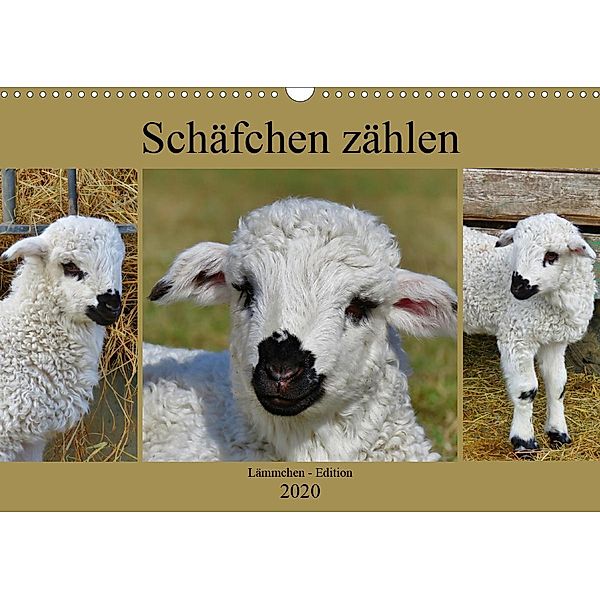 Schäfchen zählen - Lämmchen-Edition (Wandkalender 2020 DIN A3 quer), Sabine Löwer