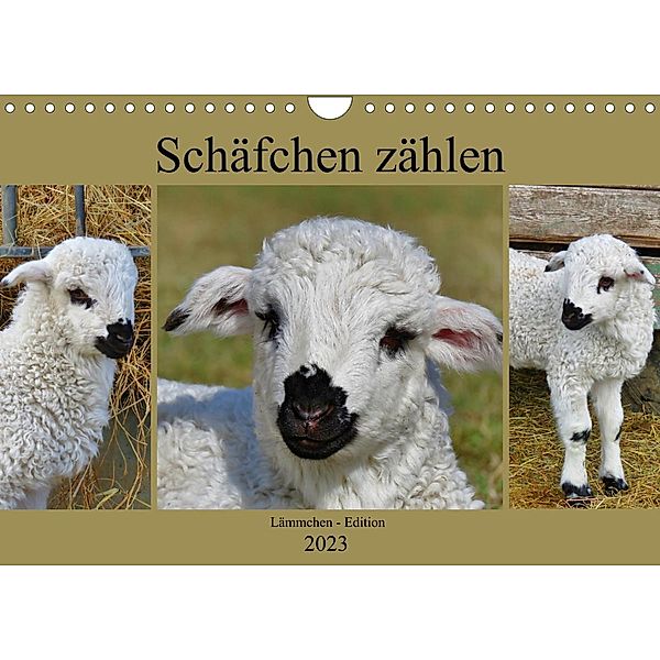 Schäfchen zählen - Lämmchen-Edition (Wandkalender 2023 DIN A4 quer), Sabine Löwer