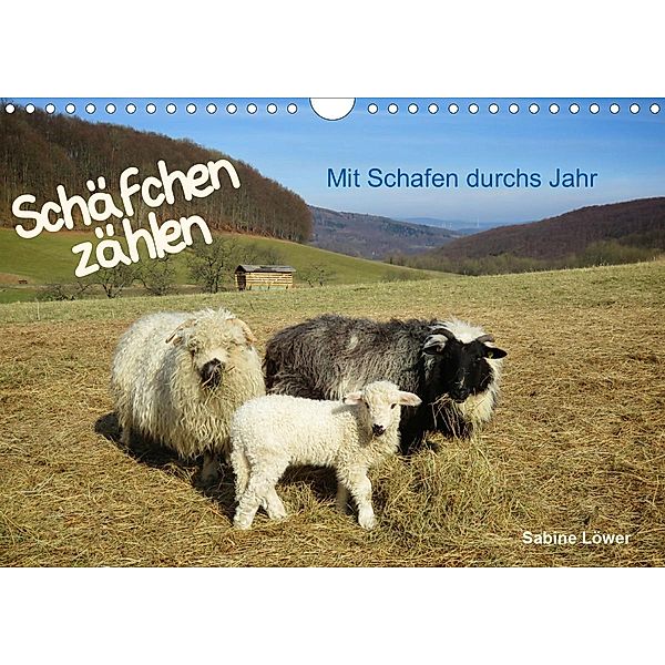 Schäfchen zählen - Mit Schafen durchs Jahr (Wandkalender 2020 DIN A4 quer), Sabine Löwer