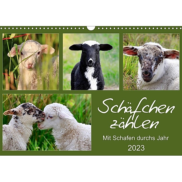 Schäfchen zählen - Mit Schafen durchs Jahr (Wandkalender 2023 DIN A3 quer), Sabine Löwer