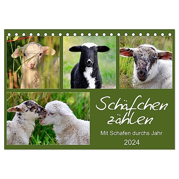 Schäfchen zählen - Mit Schafen durchs Jahr (Tischkalender 2024 DIN A5 quer), CALVENDO Monatskalender, Sabine Löwer