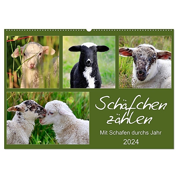 Schäfchen zählen - Mit Schafen durchs Jahr (Wandkalender 2024 DIN A2 quer), CALVENDO Monatskalender, Sabine Löwer