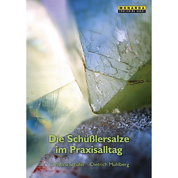 Schäfer, C: Schüsslersalze im Praxisalltag, Christina Schäfer, Dietrich Mühlberg