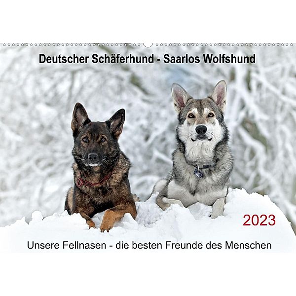 Schäferhund - Saarlos Wolfshund (Wandkalender 2023 DIN A2 quer), Petra Schiller