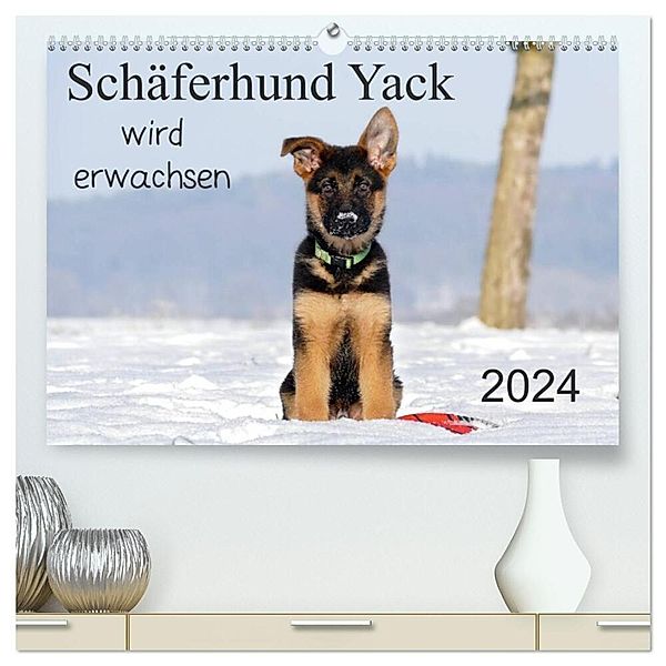 Schäferhund Yack wird erwachsen (hochwertiger Premium Wandkalender 2024 DIN A2 quer), Kunstdruck in Hochglanz, Petra Schiller