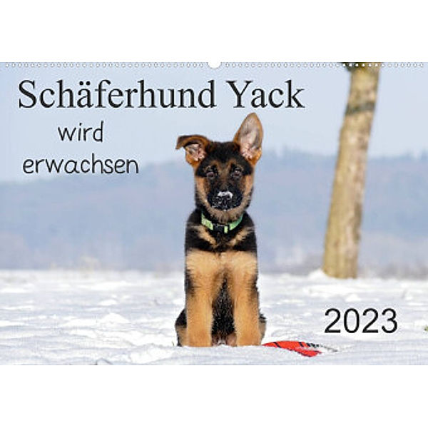 Schäferhund Yack wird erwachsen (Wandkalender 2023 DIN A2 quer), Petra Schiller