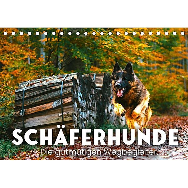 Schäferhunde - Die gutmütigen Wegbegleiter. (Tischkalender 2023 DIN A5 quer), SF