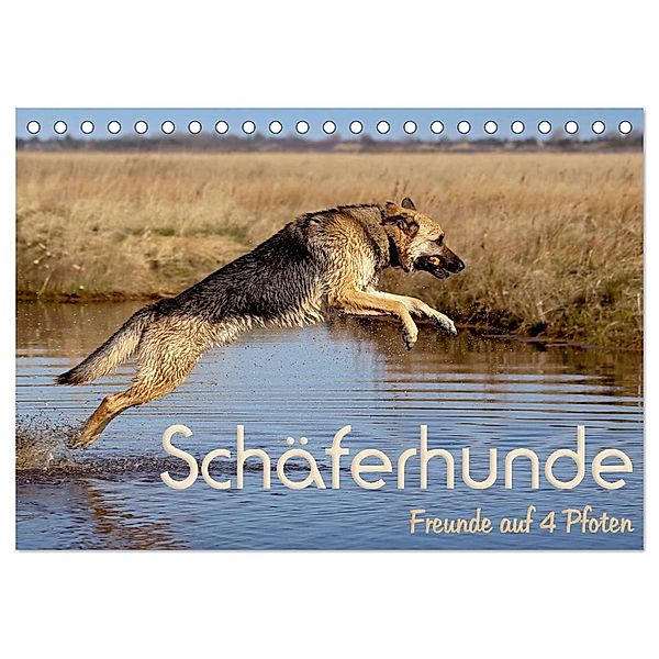 Schäferhunde - Freunde auf 4 Pfoten (Tischkalender 2024 DIN A5 quer), CALVENDO Monatskalender, Natascha Ebsen