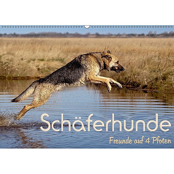 Schäferhunde - Freunde auf 4 Pfoten (Wandkalender 2018 DIN A2 quer) Dieser erfolgreiche Kalender wurde dieses Jahr mit g, Natascha Ebsen