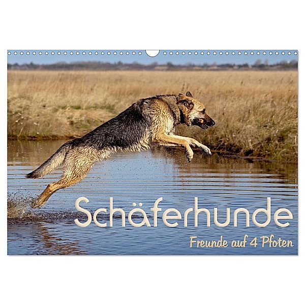 Schäferhunde - Freunde auf 4 Pfoten (Wandkalender 2024 DIN A3 quer), CALVENDO Monatskalender, Natascha Ebsen
