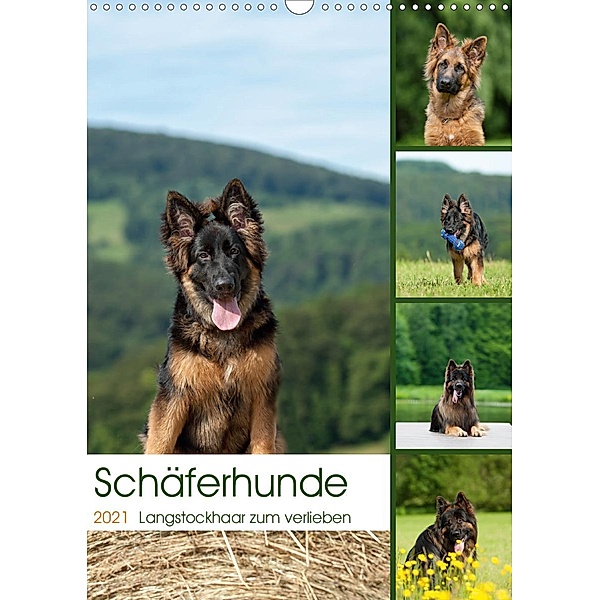 Schäferhunde Langstockhaar zum verlieben (Wandkalender 2021 DIN A3 hoch), Petra Schiller