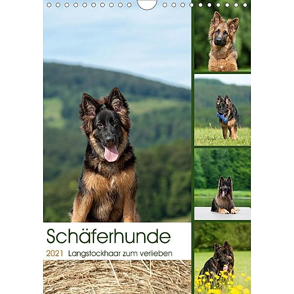 Schäferhunde Langstockhaar zum verlieben (Wandkalender 2021 DIN A4 hoch), Petra Schiller