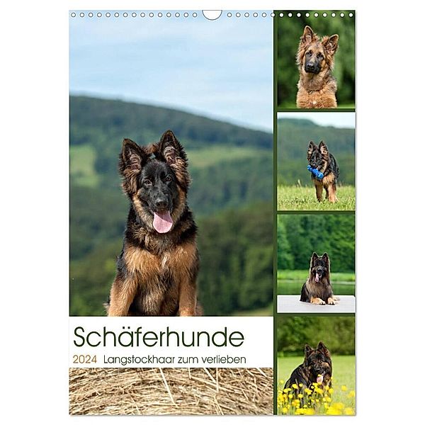 Schäferhunde Langstockhaar zum verlieben (Wandkalender 2024 DIN A3 hoch), CALVENDO Monatskalender, Petra Schiller