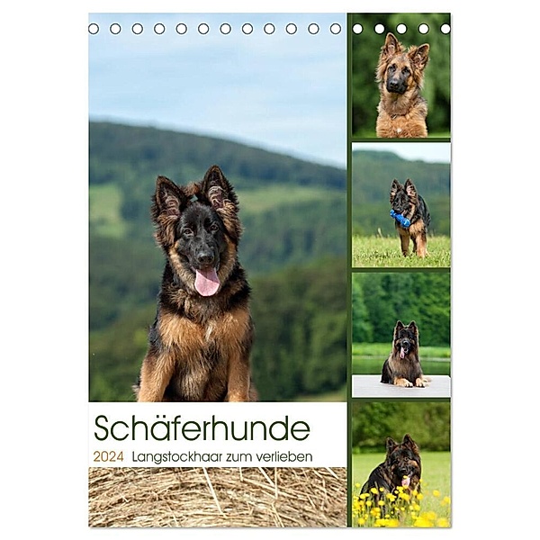 Schäferhunde Langstockhaar zum verlieben (Tischkalender 2024 DIN A5 hoch), CALVENDO Monatskalender, Petra Schiller