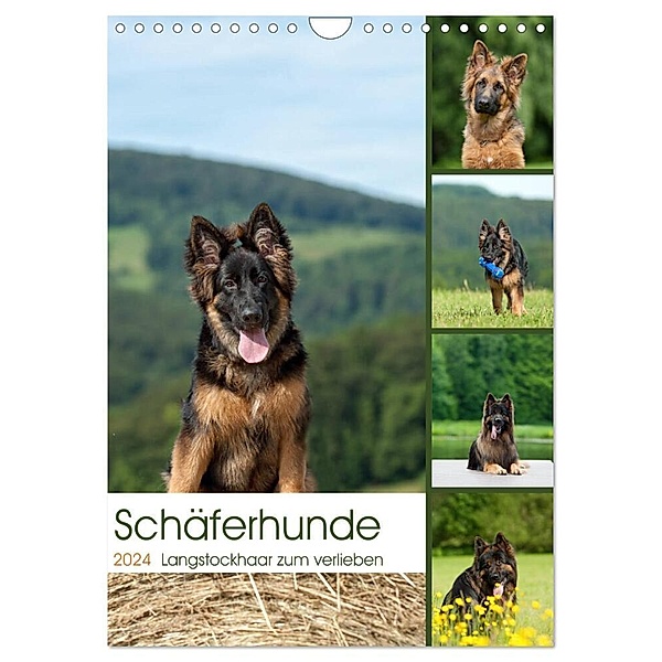 Schäferhunde Langstockhaar zum verlieben (Wandkalender 2024 DIN A4 hoch), CALVENDO Monatskalender, Petra Schiller