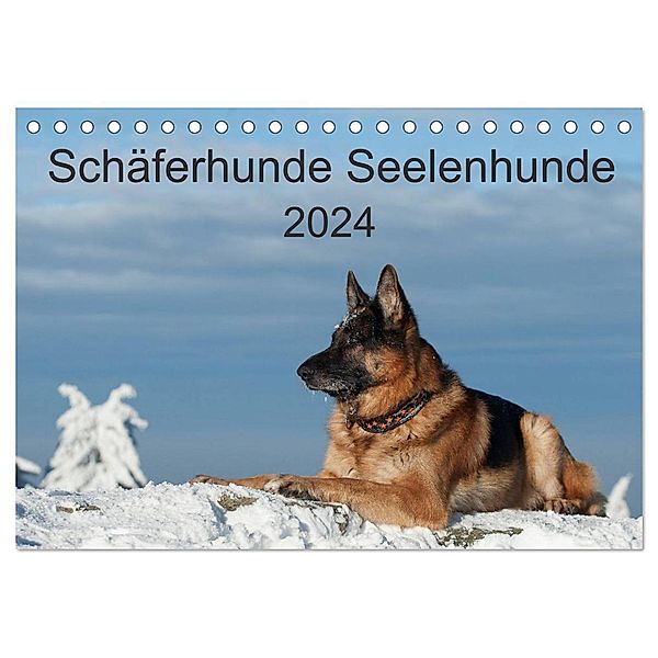 Schäferhunde Seelenhunde (Tischkalender 2024 DIN A5 quer), CALVENDO Monatskalender, Petra Schiller