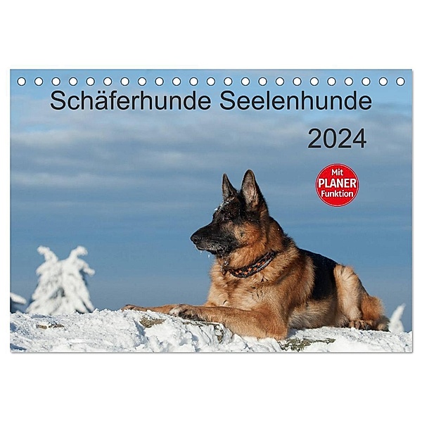 Schäferhunde Seelenhunde (Tischkalender 2024 DIN A5 quer), CALVENDO Monatskalender, Petra Schiller